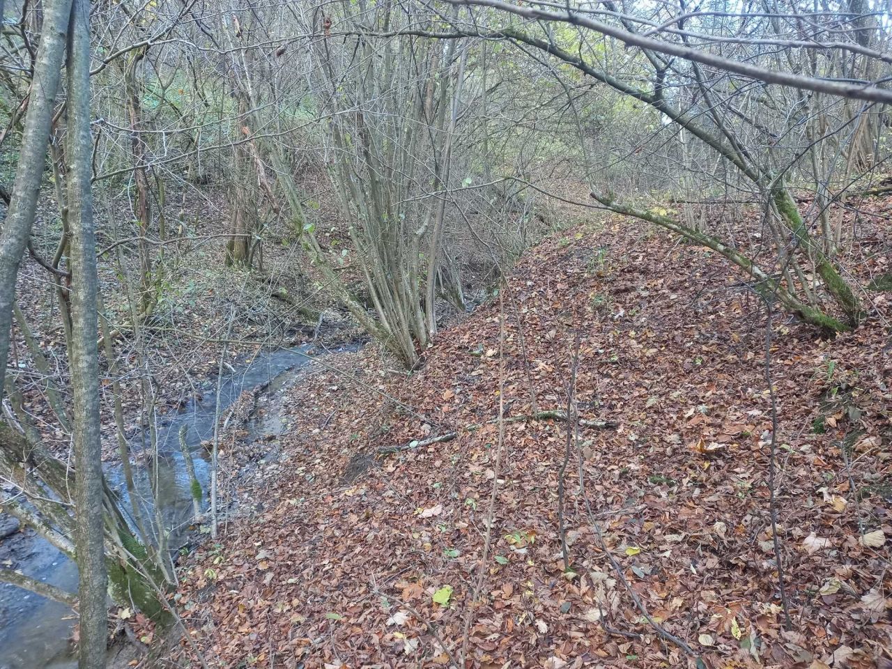 Działka Bystra. Zdjęcie 3