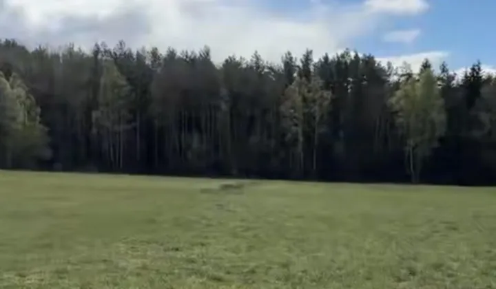 Działka budowlana Nowe Chrusty, ul. Kasztanowa