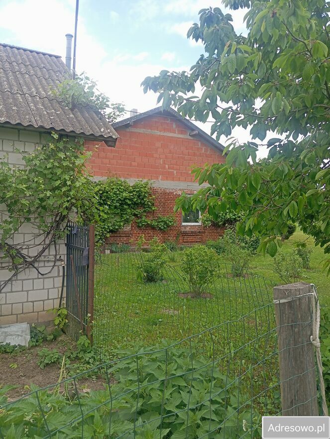 Działka siedliskowa Krzucz. Zdjęcie 6