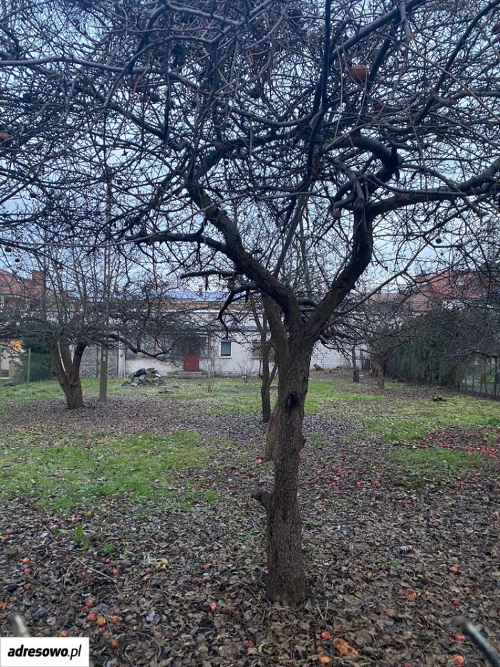 Działka budowlana Zielonka, ul. Ignacego Paderewskiego. Zdjęcie 4