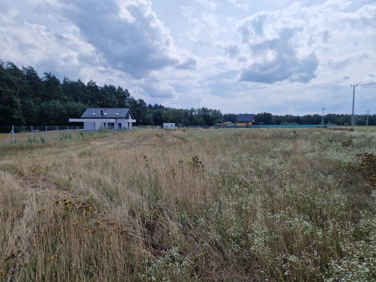 Działka rolna Krajęczyn. Zdjęcie 4