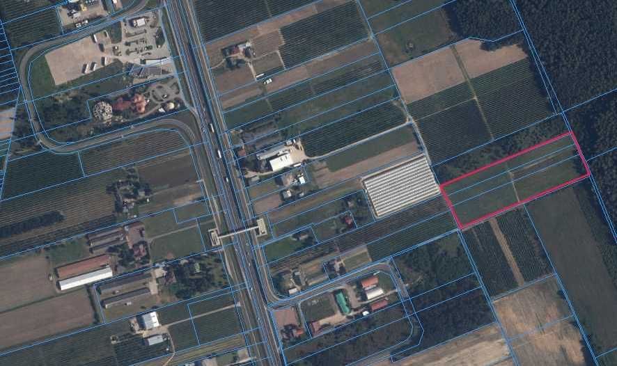 Działka rolno-budowlana Promna-Kolonia. Zdjęcie 5