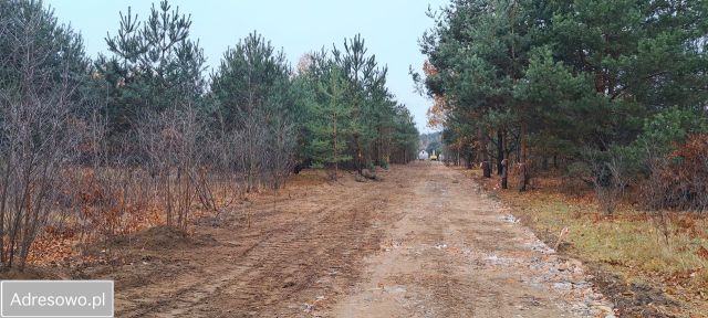 Działka budowlana Aleksandrów, ul. Sosenkowa. Zdjęcie 1