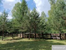 Działka rolna Rekownica. Zdjęcie 1