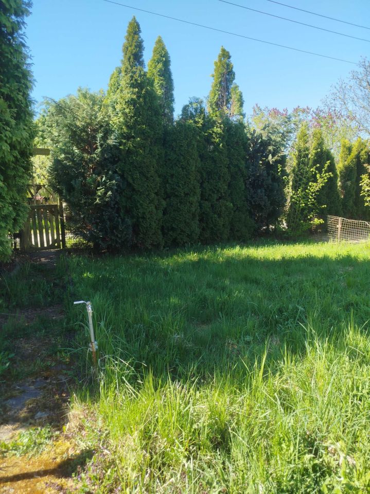 Działka rod Kalisz. Zdjęcie 3