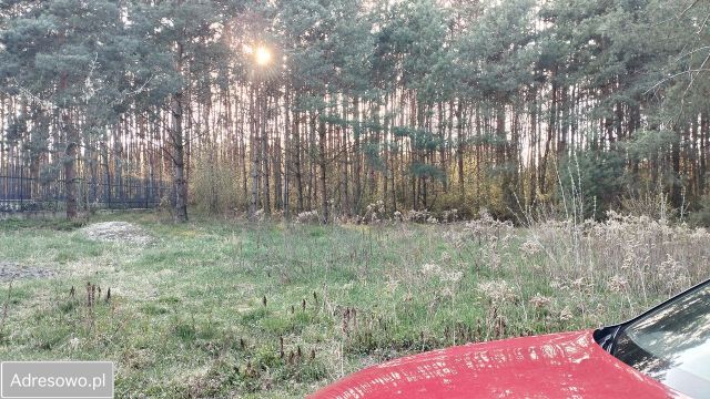 Działka budowlana Maszna, ul. św. Franciszka z Asyżu. Zdjęcie 1