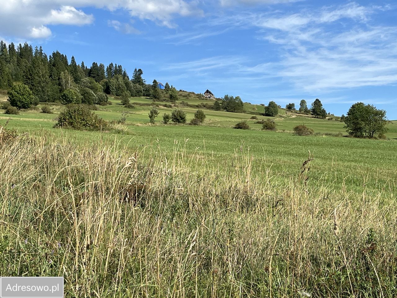 Działka inwestycyjna Czarna Góra. Zdjęcie 3