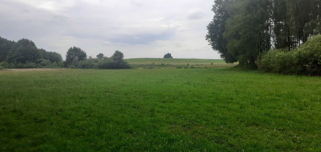 Działka rolna Zielona Góra. Zdjęcie 1