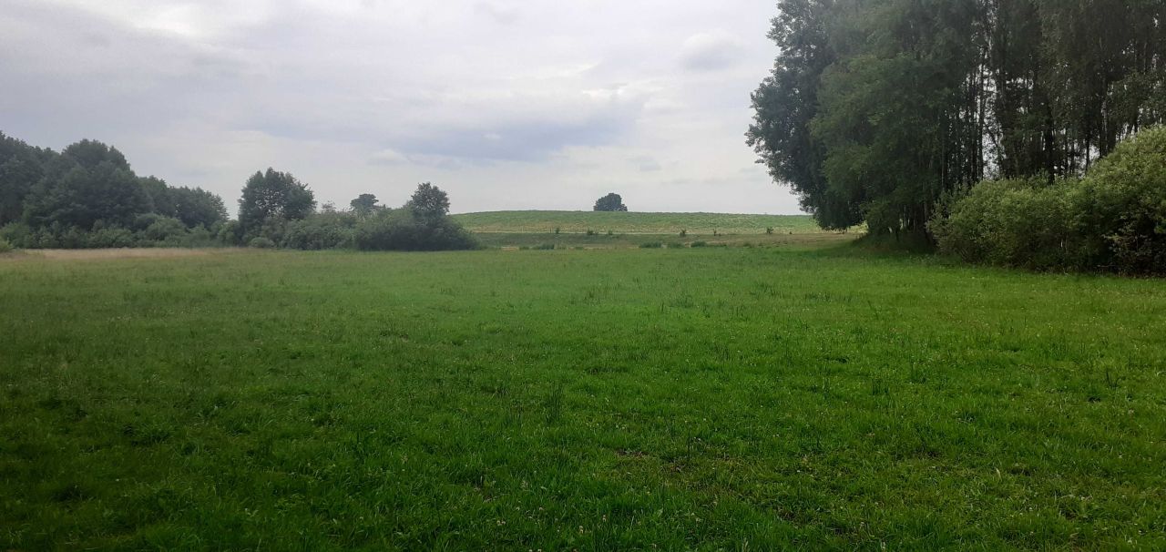 Działka rolna Zielona Góra