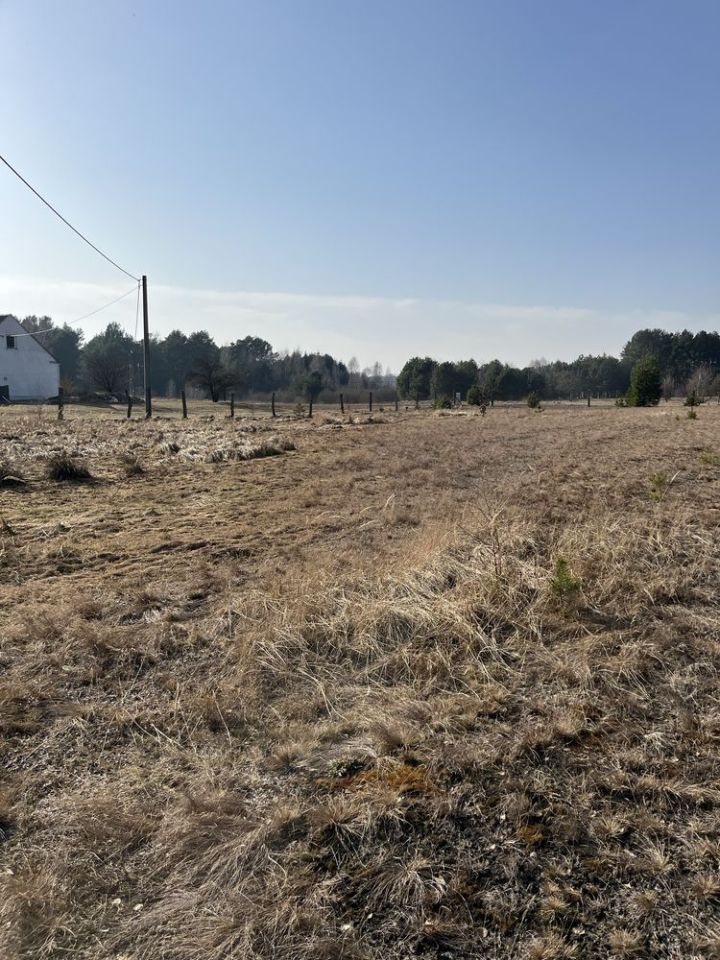 Działka rolna Wysoka. Zdjęcie 6