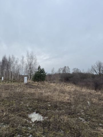 Działka budowlana Tryszczyn. Zdjęcie 1