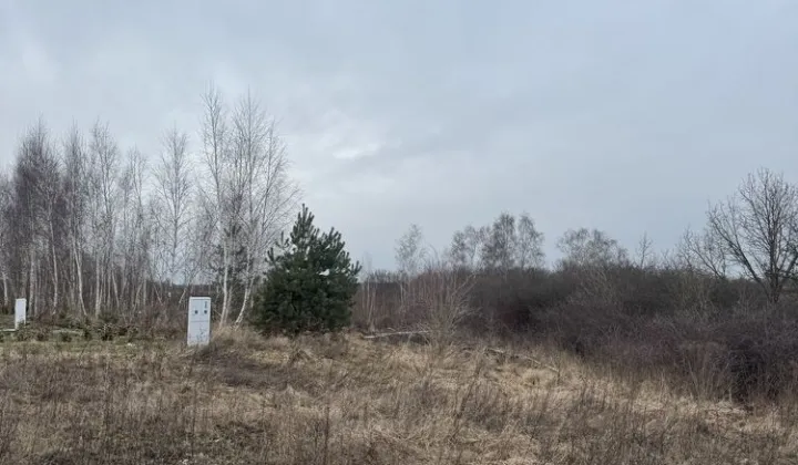 Działka budowlana Tryszczyn
