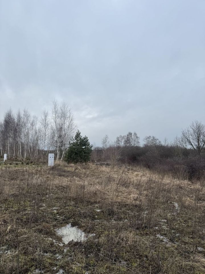 Działka budowlana Tryszczyn. Zdjęcie 1
