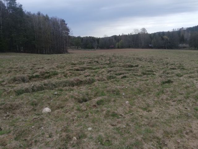 Działka rolna Paraszyno. Zdjęcie 1