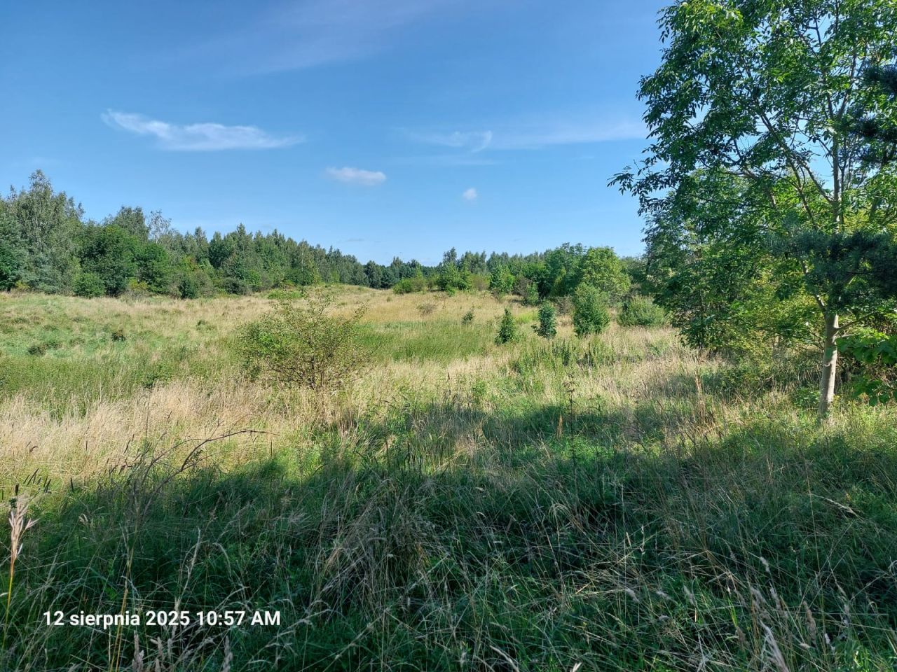 Działka rolna Leleszki. Zdjęcie 3