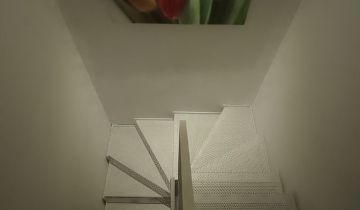 dom szeregowy, 5 pokoi Bieruń