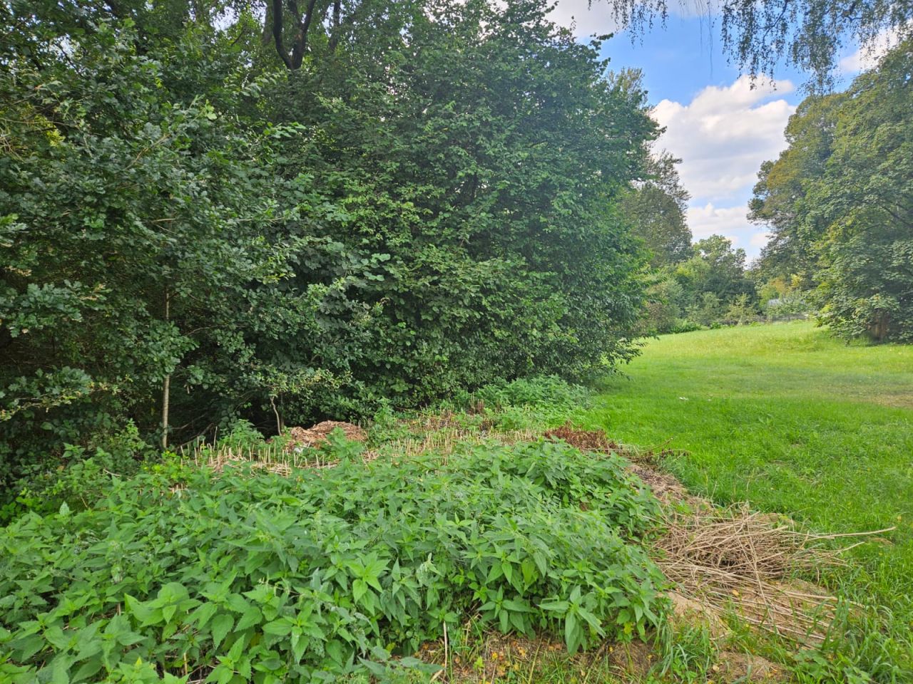 Działka budowlana Krosino, Krosino. Zdjęcie 7