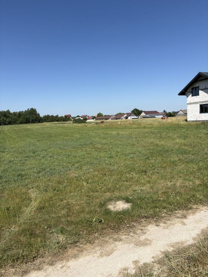 Działka rolna Bebelno-Wieś. Zdjęcie 2