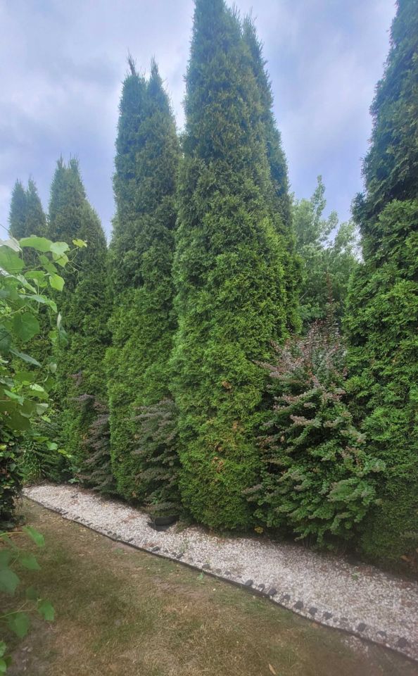 Działka rod Lublin, ul. Mełgiewska. Zdjęcie 8