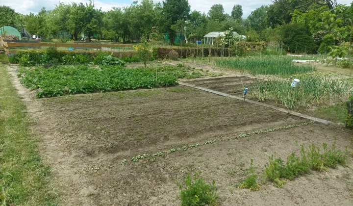 Działka rekreacyjna Krosno Odrzańskie