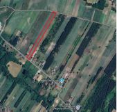 Działka rolno-budowlana Wierzbica. Zdjęcie 4