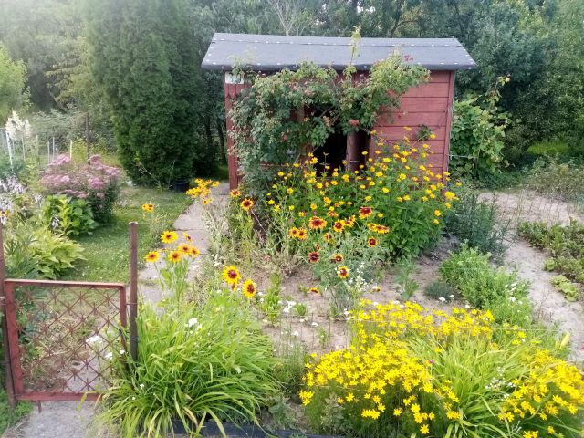 Działka rod Lublin Zimne Doły, ul. Wojciechowska. Zdjęcie 1