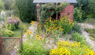 Działka rod Lublin Zimne Doły, ul. Wojciechowska