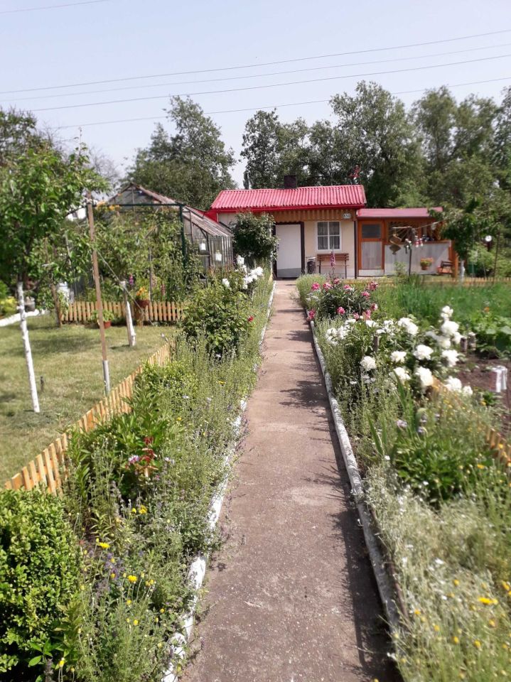 Działka rod Giżycko. Zdjęcie 6