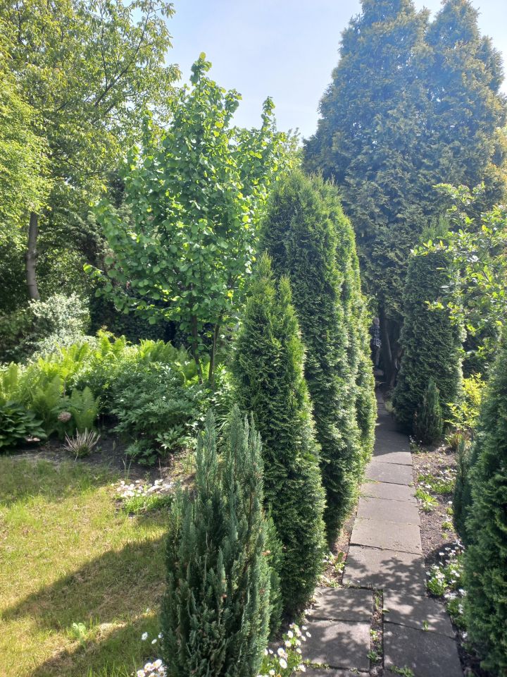 Działka rod Warszawa Targówek, Janowiecka 77. Zdjęcie 2