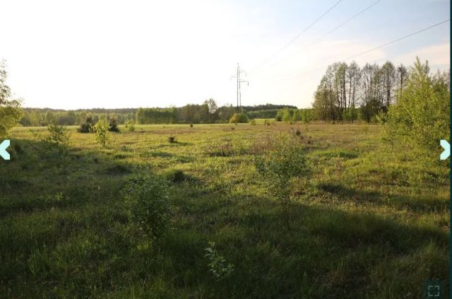 Działka rolna Nowa Pogorzel. Zdjęcie 1