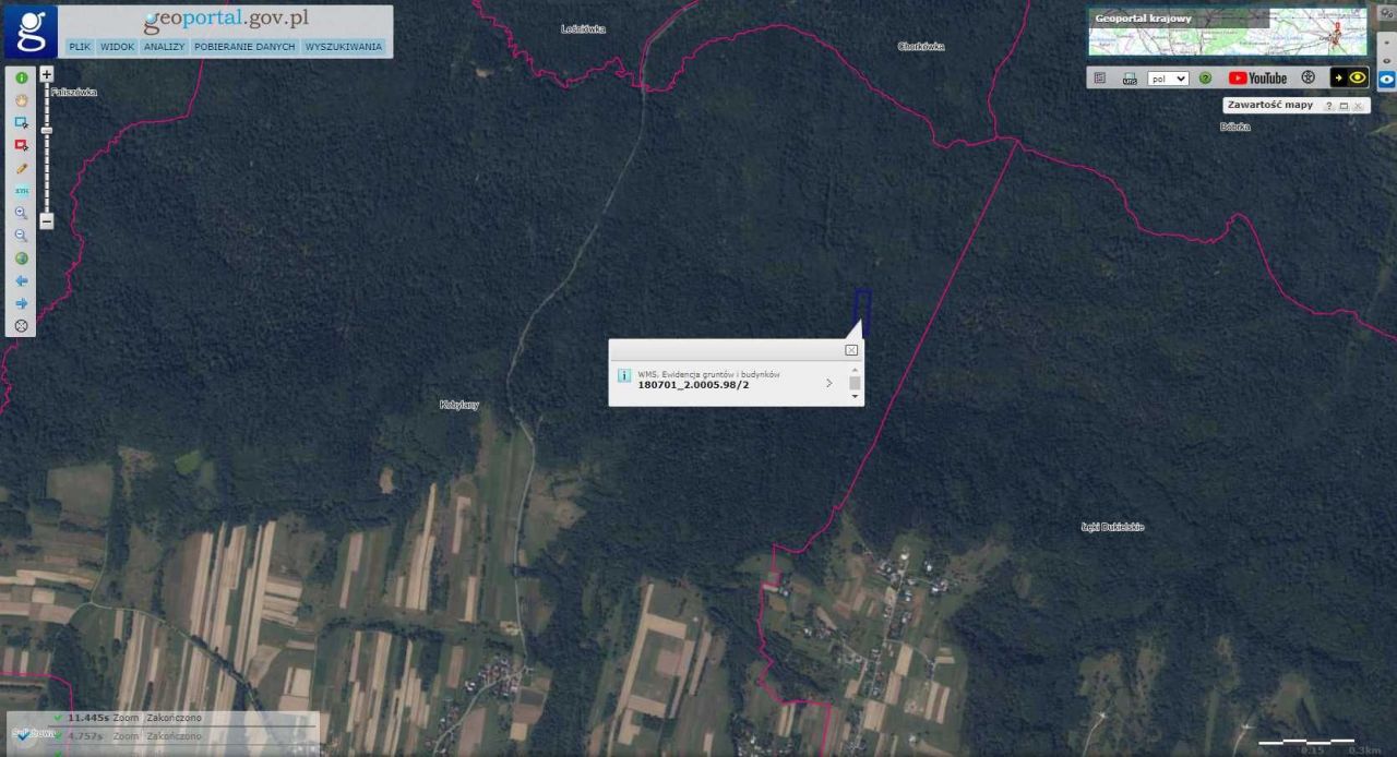 Działka leśna Kobylany. Zdjęcie 3