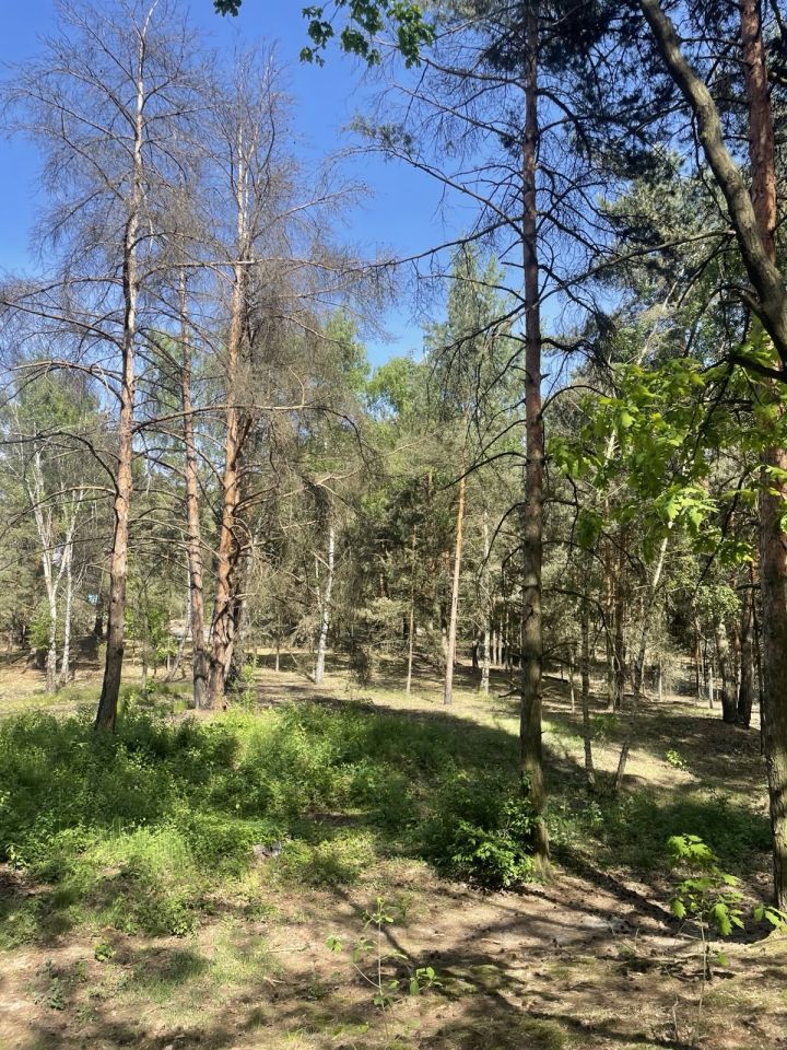 Działka budowlana Mniszew. Zdjęcie 9