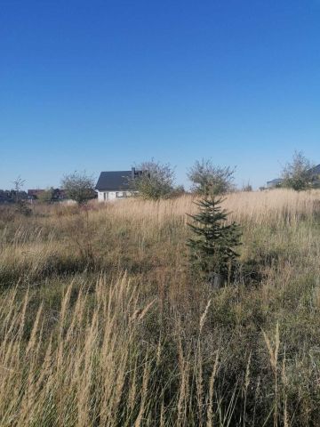 Działka budowlana Barcin-Wieś. Zdjęcie 1