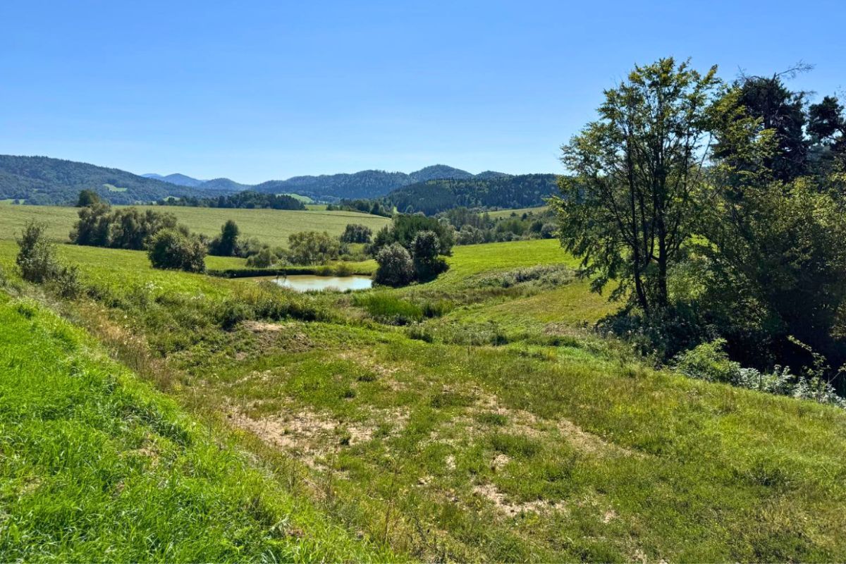 Działka budowlana Kiełczawa. Zdjęcie 8