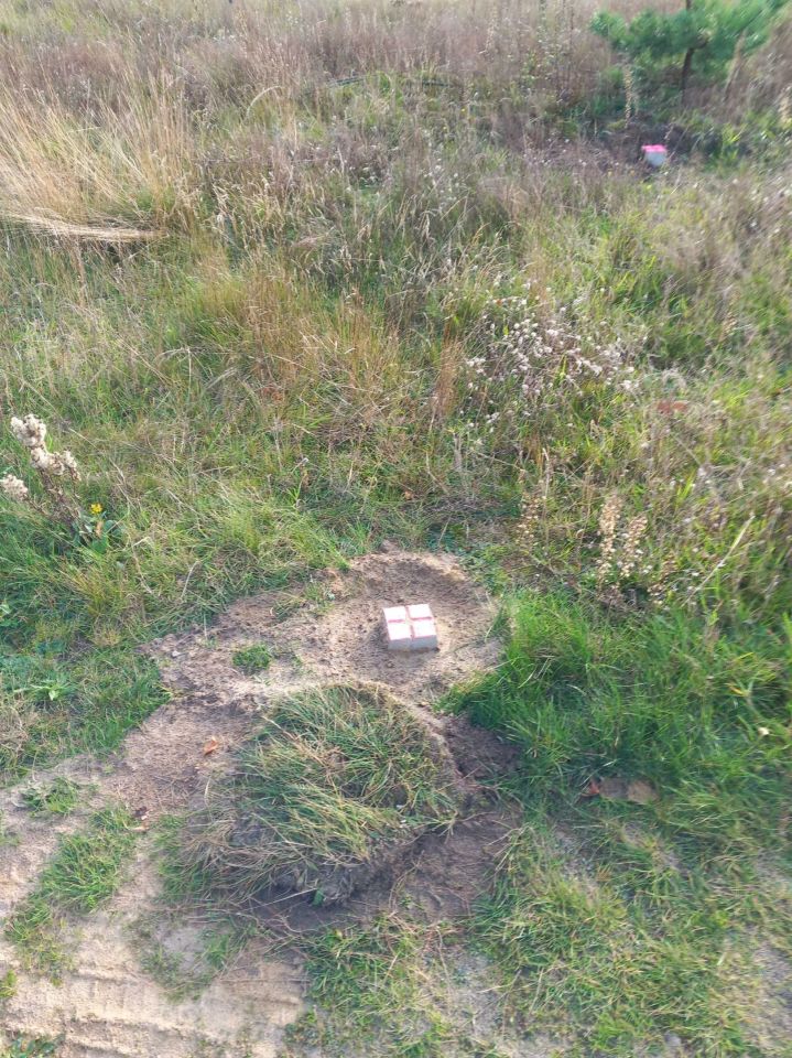 Działka budowlana Zabierzewo. Zdjęcie 5