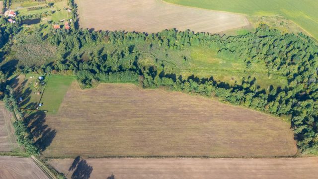 Działka budowlana Wierzbowo. Zdjęcie 1