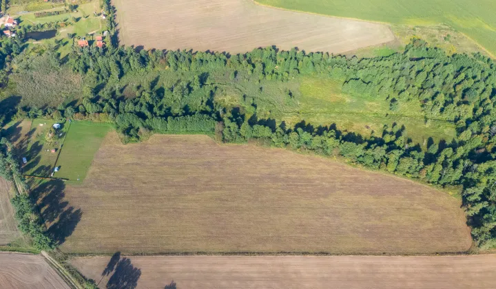 Działka budowlana Wierzbowo