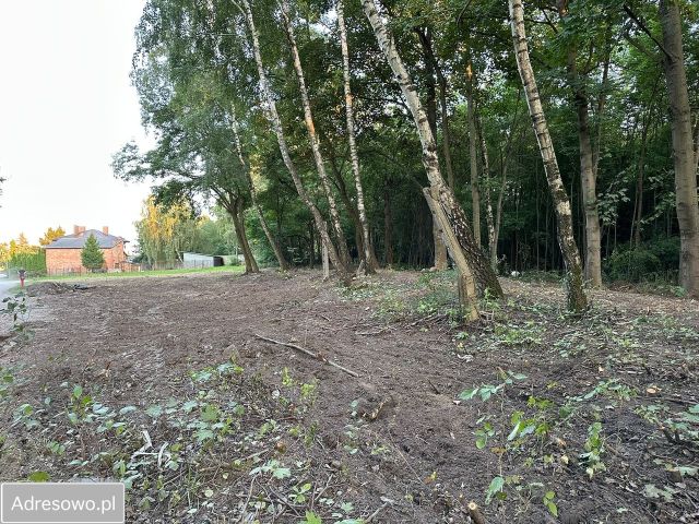 Działka budowlana Zgierz, ul. Koszarowa. Zdjęcie 1