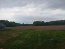 Działka siedliskowa Orzechów-Kolonia. Zdjęcie 2