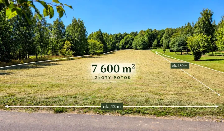 Działka rolno-budowlana Złoty Potok, ul. Wrzosowa