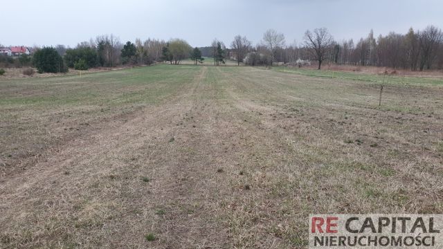 Działka budowlana Powązki. Zdjęcie 1