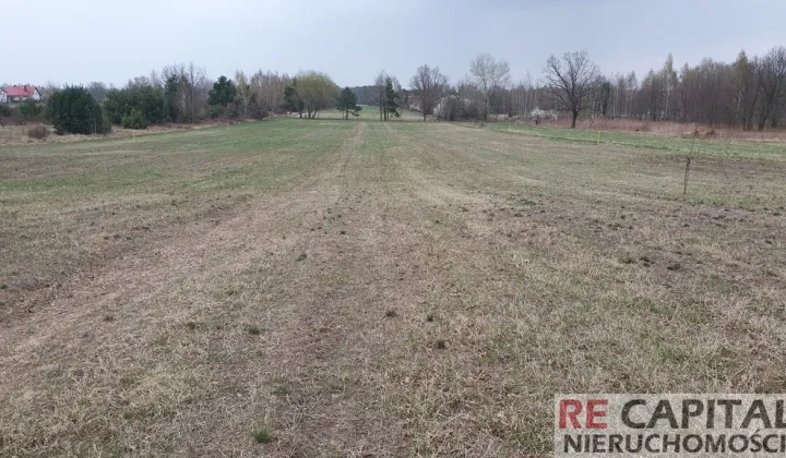 Działka budowlana Powązki