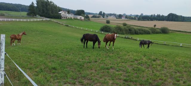 dom wolnostojący, 5 pokoi Kierwałd. Zdjęcie 1