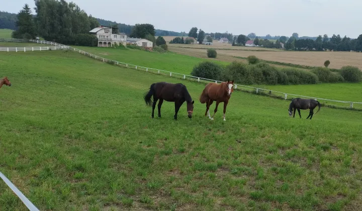 dom wolnostojący, 5 pokoi Kierwałd