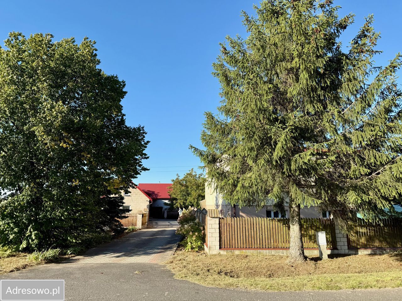 gospodarstwo Chojny. Zdjęcie 3