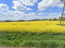 Działka rolno-budowlana Jaźwina. Zdjęcie 1