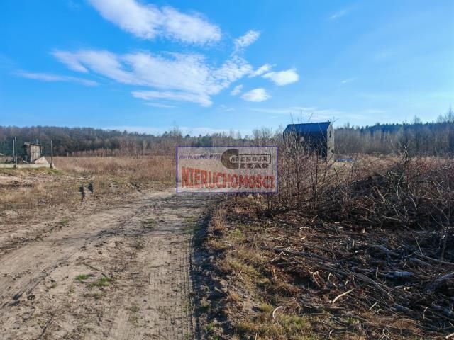 Działka budowlana Kąck, ul. Leśna. Zdjęcie 2
