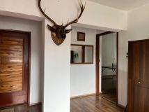 dom wolnostojący, 6 pokoi Wysowa-Zdrój. Zdjęcie 4