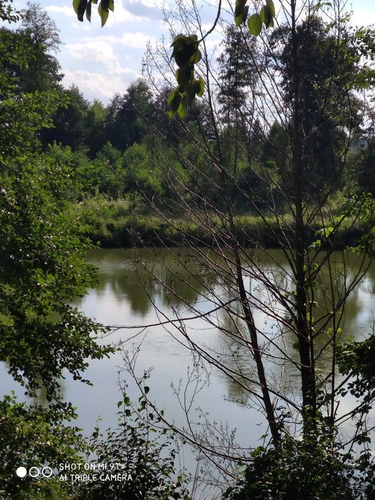 Działka rekreacyjna Gościejewo. Zdjęcie 2