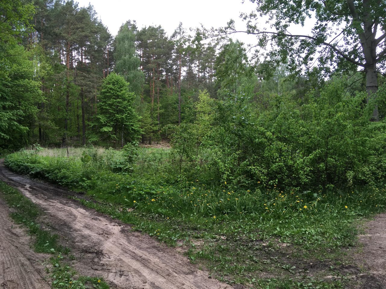 Działka budowlana Spychowo. Zdjęcie 4